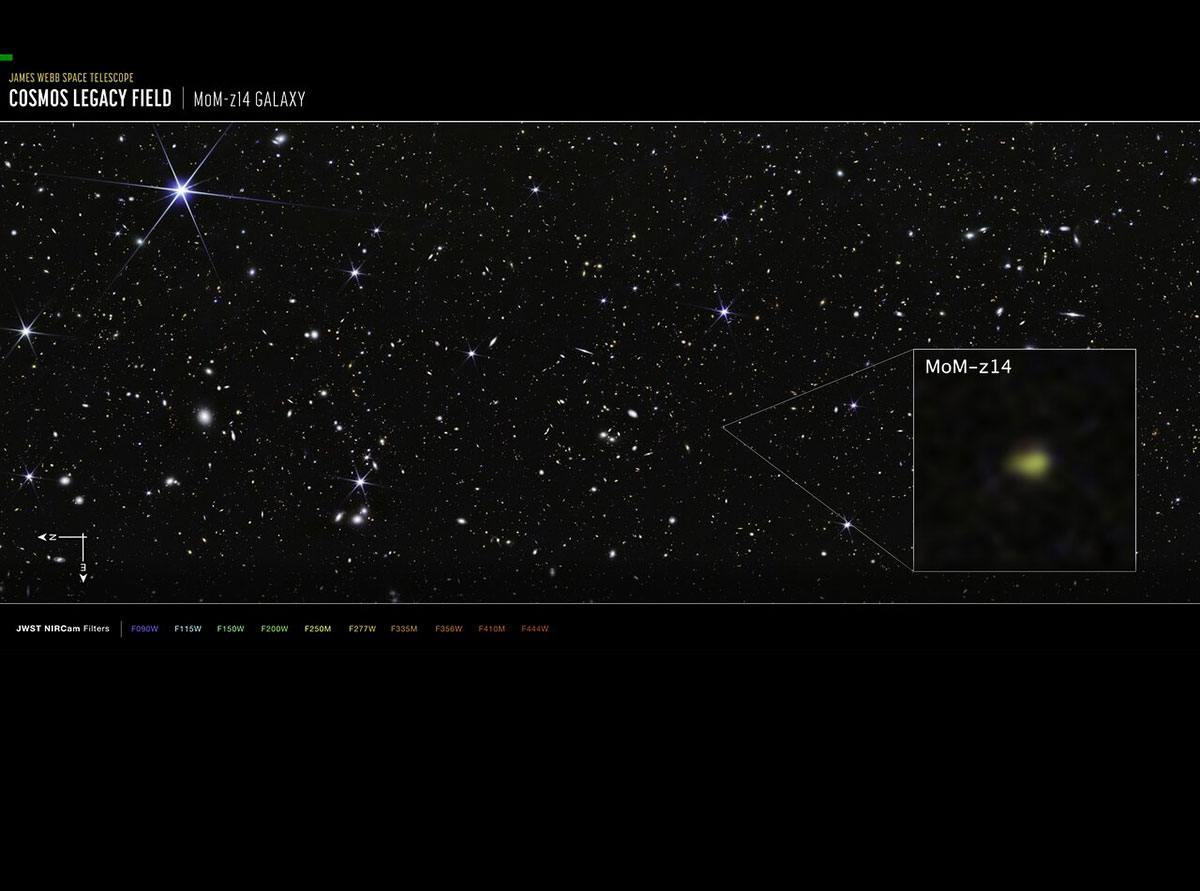 Die als „MoM-z14“ bezeichnete Galaxie ist derzeit die am weitesten entfernte jemals nachgewiesene Galaxie. (Klicken Sie auf die Bildmitte, um zu einer vergrößerten Darstellung zu gelangen.)Copyright: NASA, ESA, CSA, STScI, R. Naidu (MIT), Image Processing: J. DePasquale (STScI)