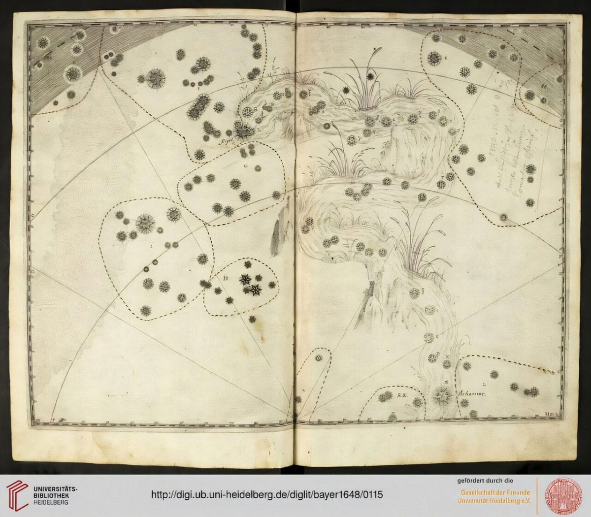 Das Sternbild Eridanus in Johann Bayers „Uranometria“ aus dem Jahr 1603. Die Erweiterung des Sternbilds bis zu Achernar (α Eridani) basiert auf Himmelsgloben mit dem Südhimmel, die wenige Jahre zuvor auf Grundlage der Beobachtungen der Eerste-Schipvaart-Expedition angefertigt worden waren. θ Eridani ist dort bereits deutlich lichtschwächer als α Eridani dargestellt.Quelle: Waisberg u. Katz, arXiv (2026) / Universitätsbibliothek Heidelberg