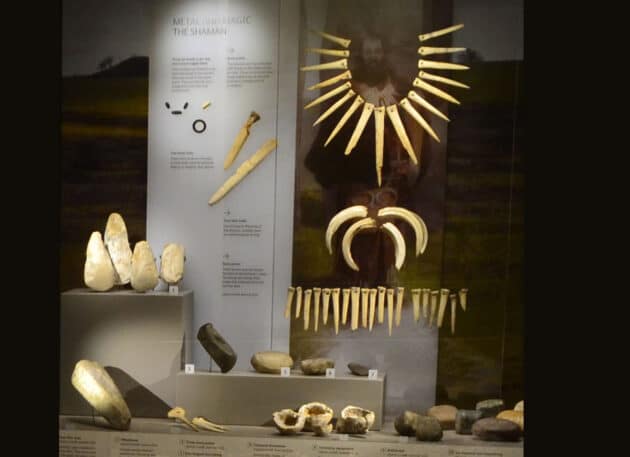 Die Ausstellung der Funde zum „Upton Lovell Shaman“ im Wiltshire Museum in Devizes zeigt derzeit noch eine Rekonstruktion des Skeletts als bärtigen Mann. Copyright: Wiltshire Museum