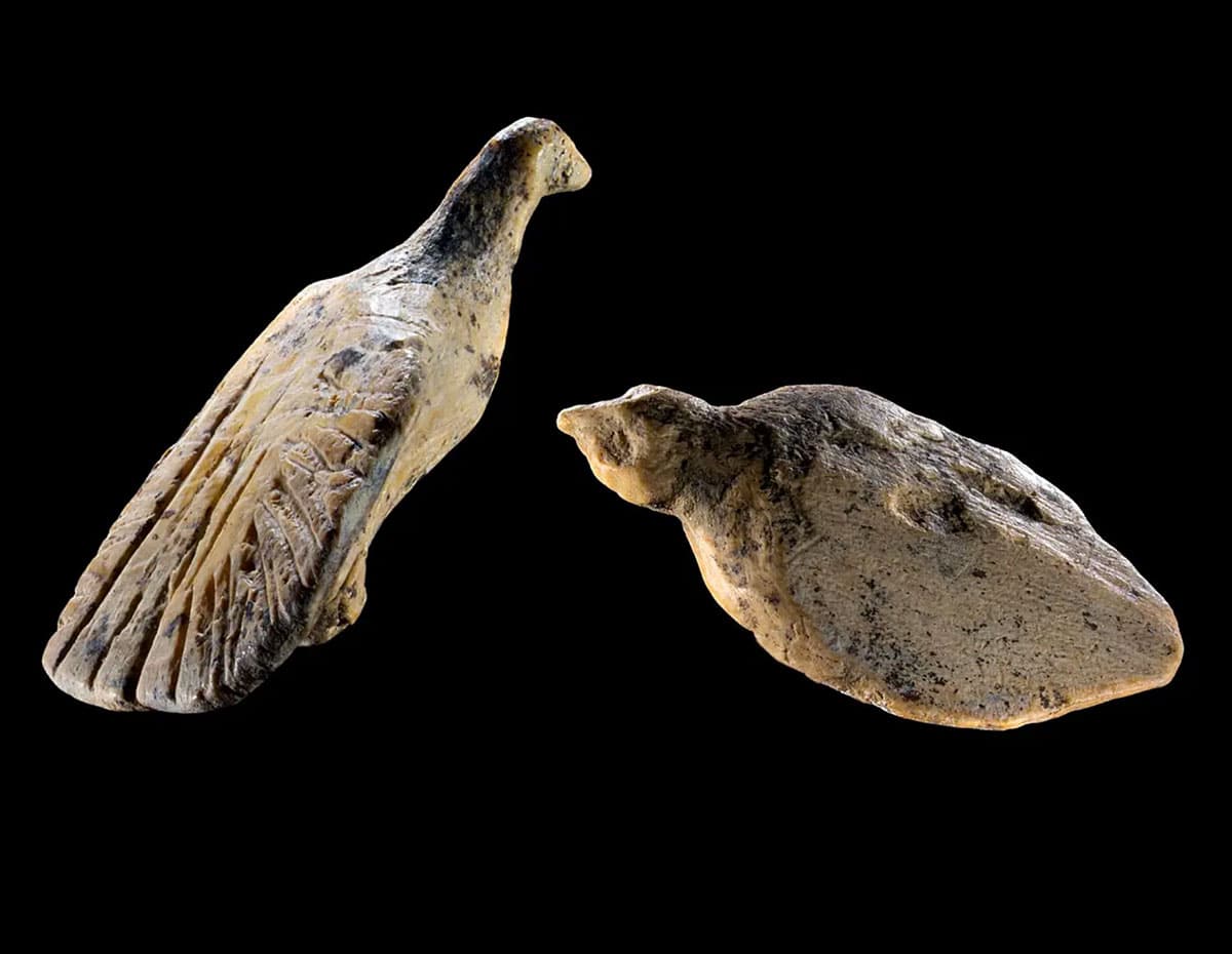 Die zwei rund 40.000 Jahre alten Vogelfiguren aus der eiszeitlichen Welterbehöhle Hohle Fels.Copyright/Quelle: Ralf Ehmann / Universität Tübingen