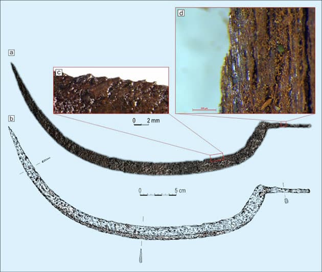 Ansichten der Sichel aus Grab 75: Fotografie (a), Zeichnung (b), mikroskopische Aufnahme eines Klingenfragments (c) und RL-Querschnitt eines Holzfragments des Sichelschafts (d).Quelle: D. Poliński, M. Zagrodzka et al. Journal of Archaeological Science: Reports 2026