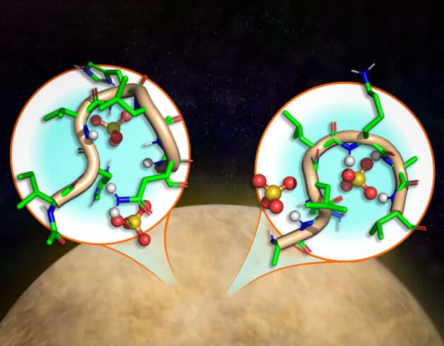 MIT-Forschende haben festgestellt, dass kurze Peptide unter extrem sauren Bedingungen, wie sie in den Wolken der Venus herrschen, nicht nur stabil bleiben, sondern sich in Strukturen falten können, die möglicherweise biologische Funktionen ermöglichen. Copyright/Quelle: Jose-Luis Olivares, MIT, Mei, Seager et al. 2026