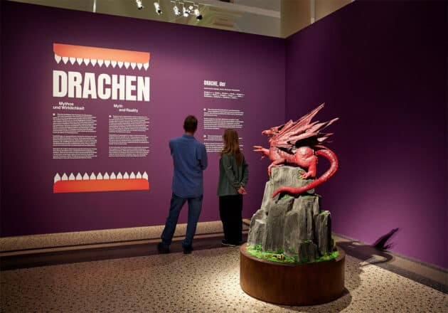 Blick in die Ausstellung »Drachen – Mythos und Wirklichkeit« Copyright/Quelle: L. Breidert © Hessisches Landesmuseum Darmstadt
