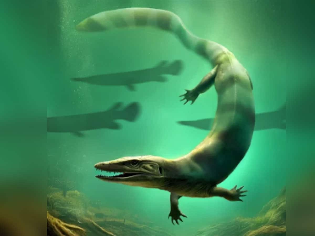Künstlerische Rekonstruktion anhand der nahe Aix-en-Provence gefundenen Mosasaurier-Fossilien (Illu.).Copyright/Quelle: Thierry Tortosa / paleo.mnhn.fr