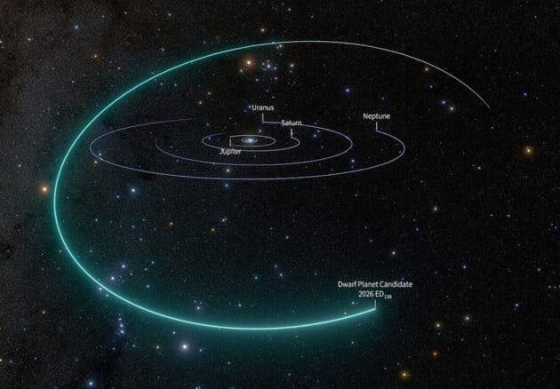 Grafische Darstellung der Umlaufbahn des neuen Zwergplaneten-Kandidaten „2026 ED138“ (türkis) im Vergleich zu den Bahnen der äußeren Planeten des Sonnensystems (Illu.) Copyright: NSF–DOE Vera C. Rubin Observatory/NOIRLab/SLAC/AURA/R. Proctor